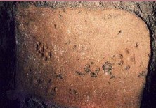 Le impronte di un cane passato sulla tegola durante l'essiccazione della stessa.