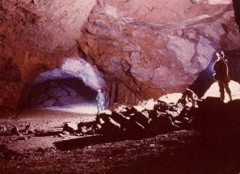 Uno dei saloni delle cave di tufo, nel lato sottostante via Salaria. I blocchi in primo piano sono materiali residui di crolli avvenuti in passato.